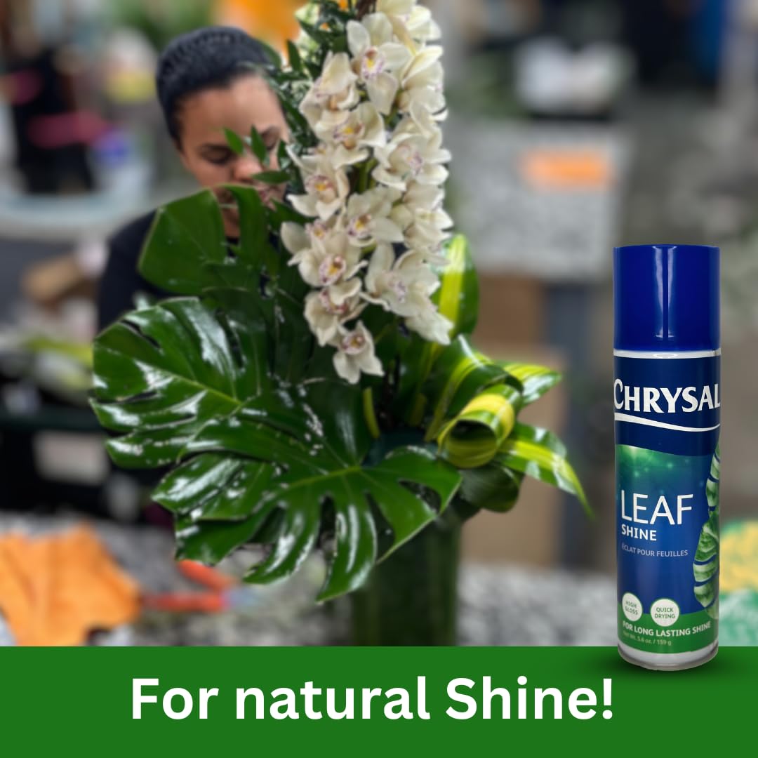 Chrysal Leafshine 5.6 oz Spray for Indoor Plants – Flower Arrangement Spray for Bouquets, House Plants & More – Environmentally Safe Dust Remover & Leaf Cleaner (3 Pack)