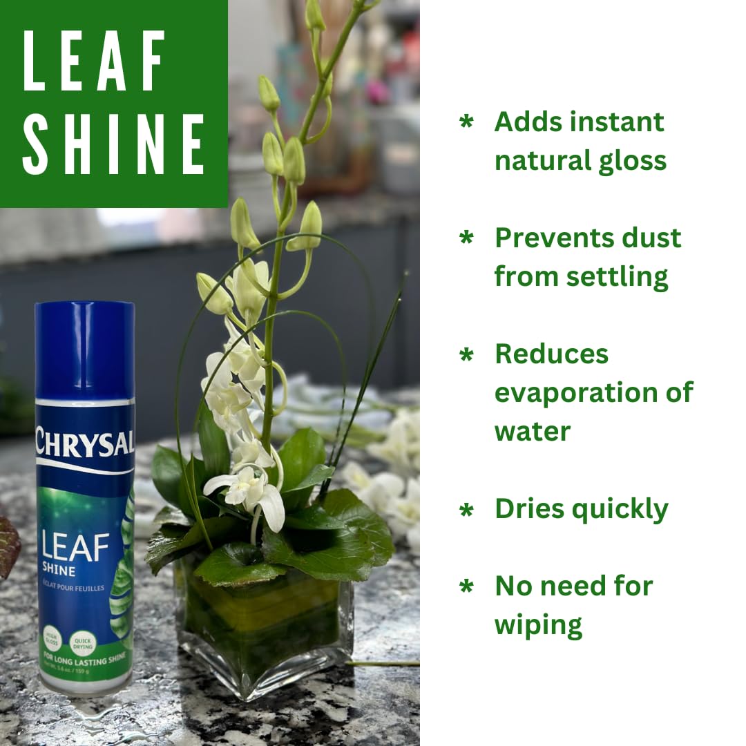 Chrysal Leaf Shine Spray for Indoor Plants – Flower Arrangement Spray for Flower Bouquets, House Plants, & More – Environmentally Safe Plant Cleaner Removes Dust – Flower & Gardening Supplies (2 Pack)