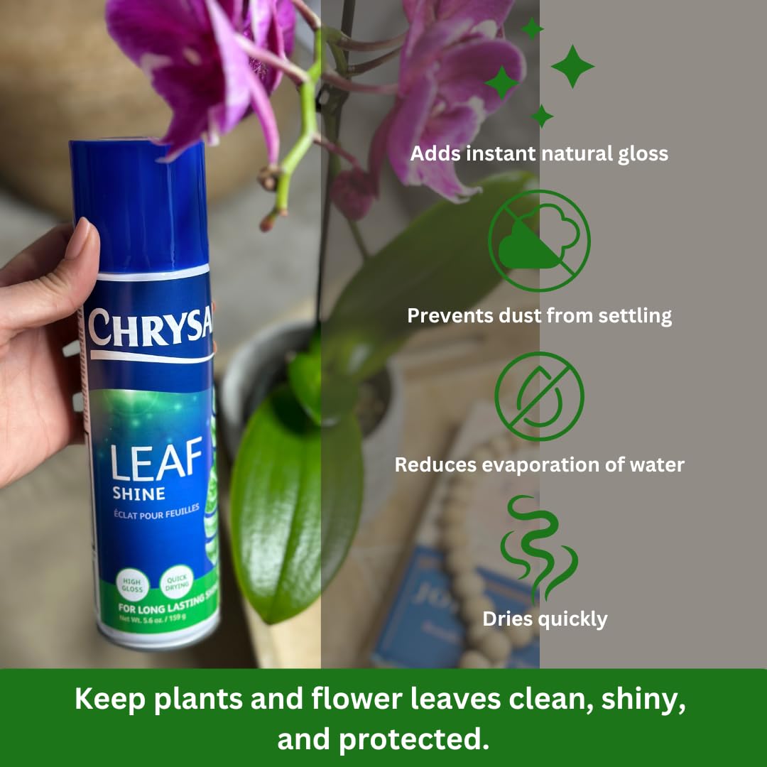 Chrysal Leafshine 5.6 oz Spray for Indoor Plants – Flower Arrangement Spray for Bouquets, House Plants & More – Environmentally Safe Dust Remover & Leaf Cleaner (3 Pack)