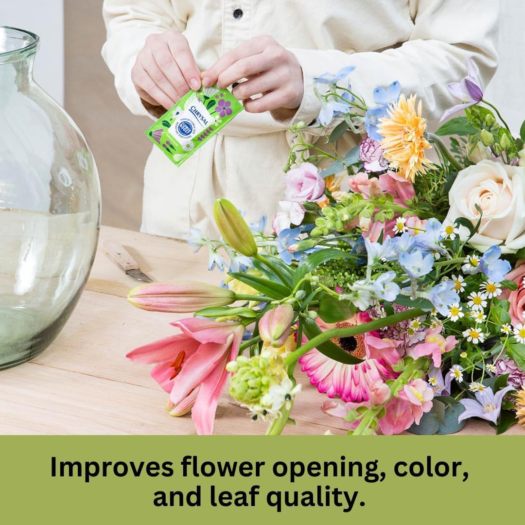 Chrysal Flower Boost – Clear Flower Food Packets for Flower Arrangements & Bouquets – Floral Supplies for Fresh Flowers – Fresh Flower Arrangements Supplies 5g