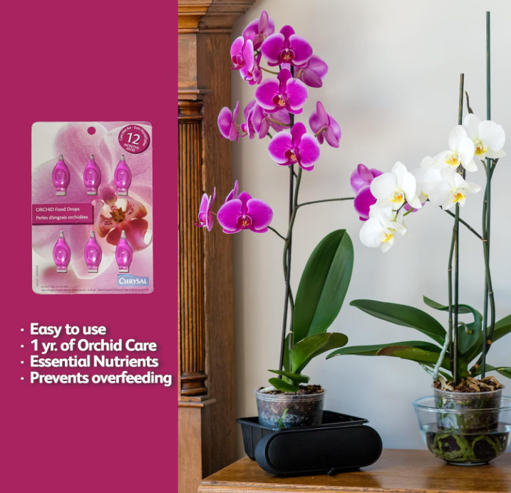 Chrysal Orchid Food Drops – Year-Long Supply for All Orchids