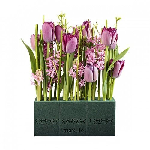 Oasis Pack of 8 Standard Floral Foam Bricks. New and Improved with MaxLife Technology for Longer Fresh Flower Life.