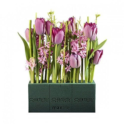 Oasis Pack of 8 Standard Floral Foam Bricks. New and Improved with MaxLife Technology for Longer Fresh Flower Life.