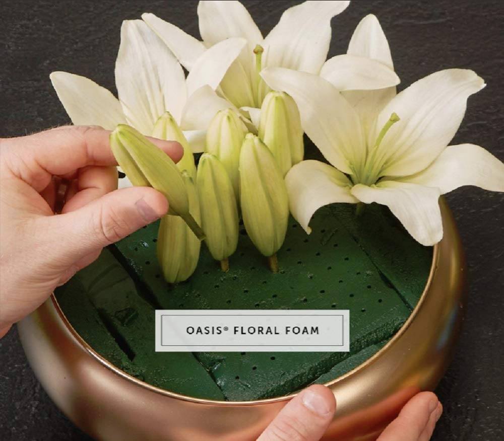 Advantage Plus Oasis® 8 PCS Standard Wet Floral Foam Brick Fresh Flower Wedding Florist Craft