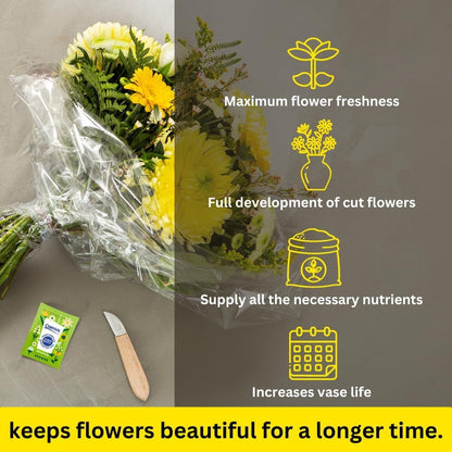 Chrysal Flower Boost – Clear Flower Food Packets for Flower Arrangements & Bouquets – Floral Supplies for Fresh Flowers – Fresh Flower Arrangements Supplies 5g