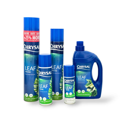 Chrysal LeafShine Spray for Indoor Plants (3oz/1 Pack) Floral, Plants, Foliage, & Flower Care