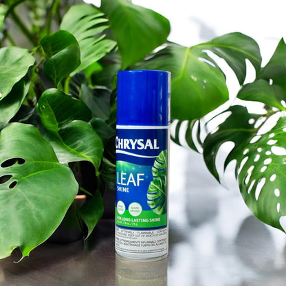 Chrysal LeafShine Spray for Indoor Plants (3oz/1 Pack) Floral, Plants, Foliage, & Flower Care