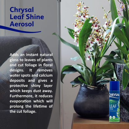 natural leaf shine for indoor plants Chrysal LeafShine Spray for Indoor Plants