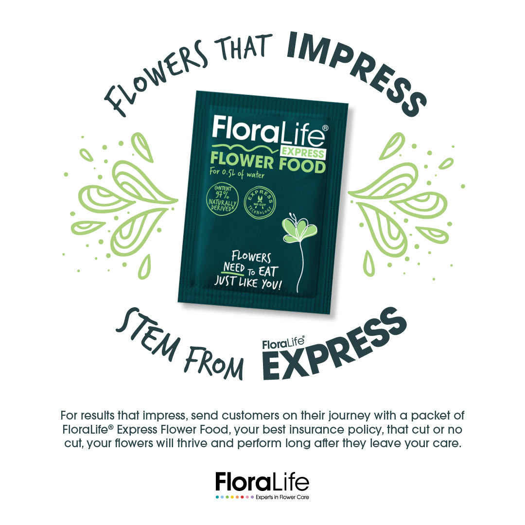Cut Flower Food Floralife Flower Food Powdered Packets - Pack of 36 Express Universal Packets